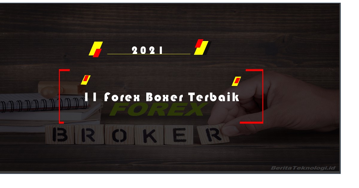 11 Forex Boxer Terbaik 2021